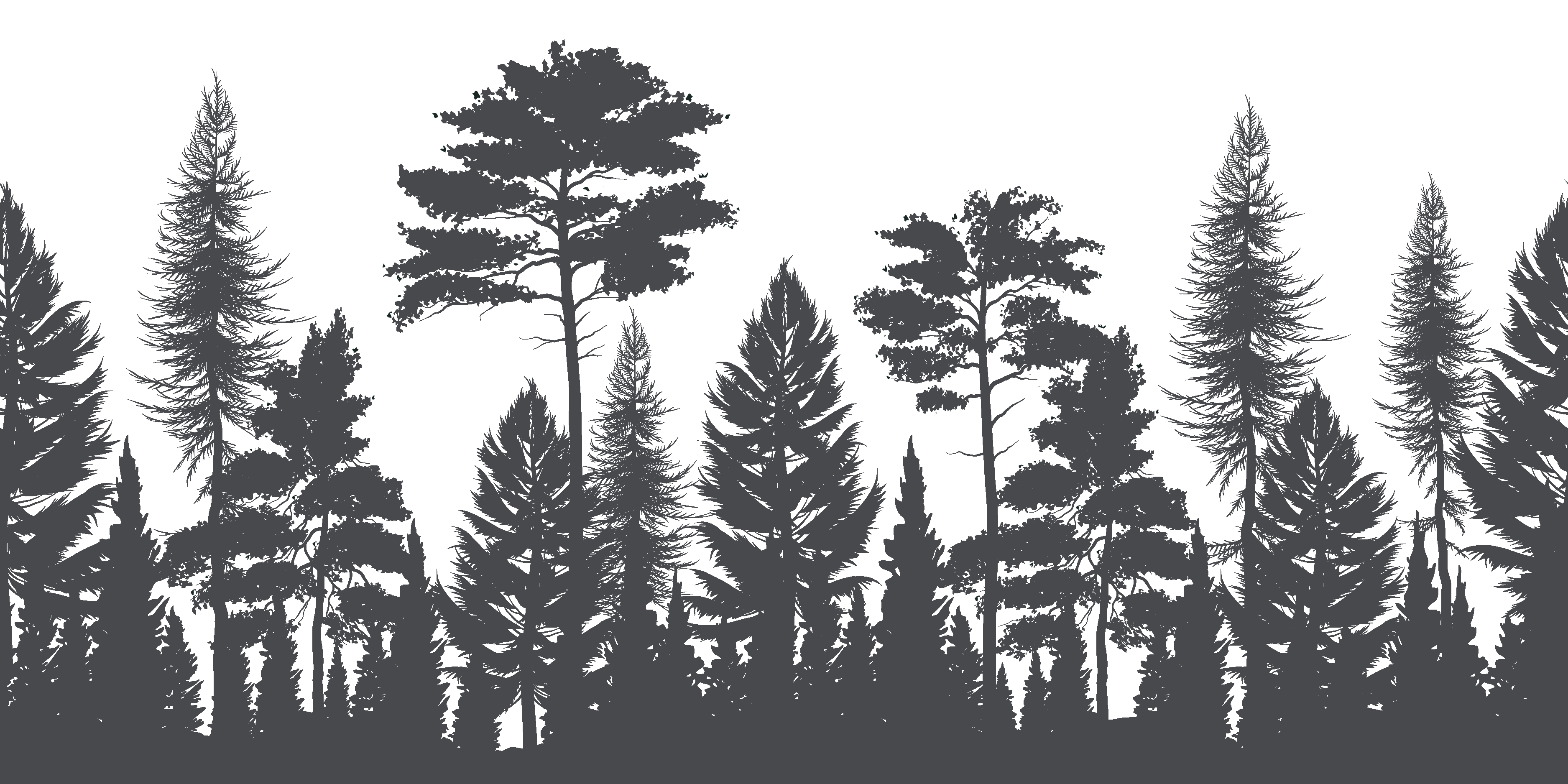 Trees